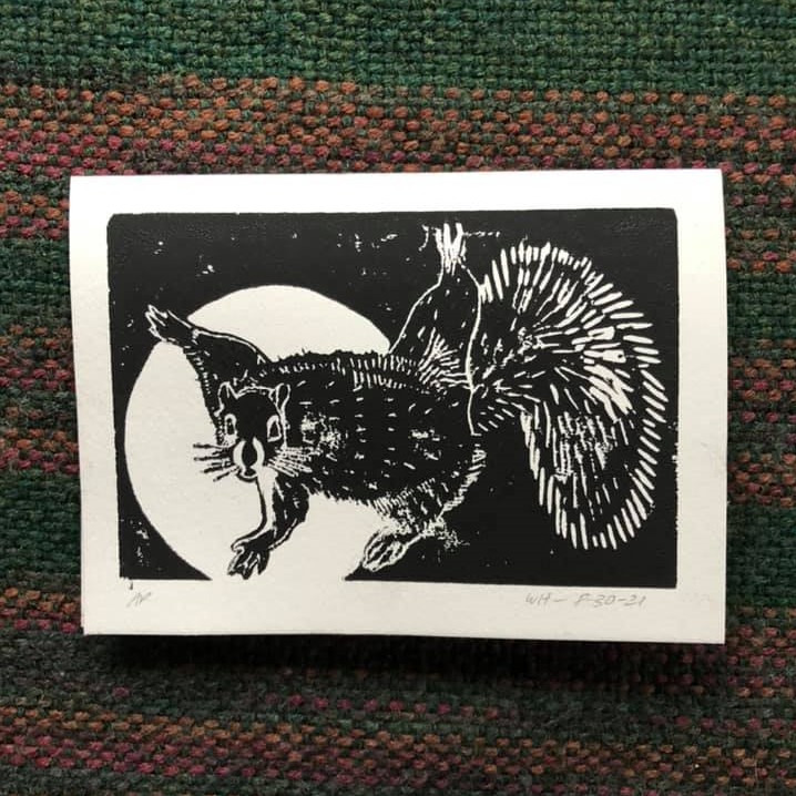 Western Gray Squirrel Card