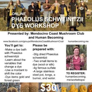 Online Workshop Recording: Dye with Phaeolus schweinitzii