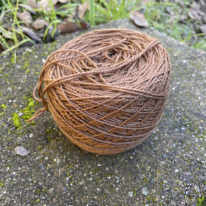 Mushroom Dyed Yarn: Chestnuts Roasting