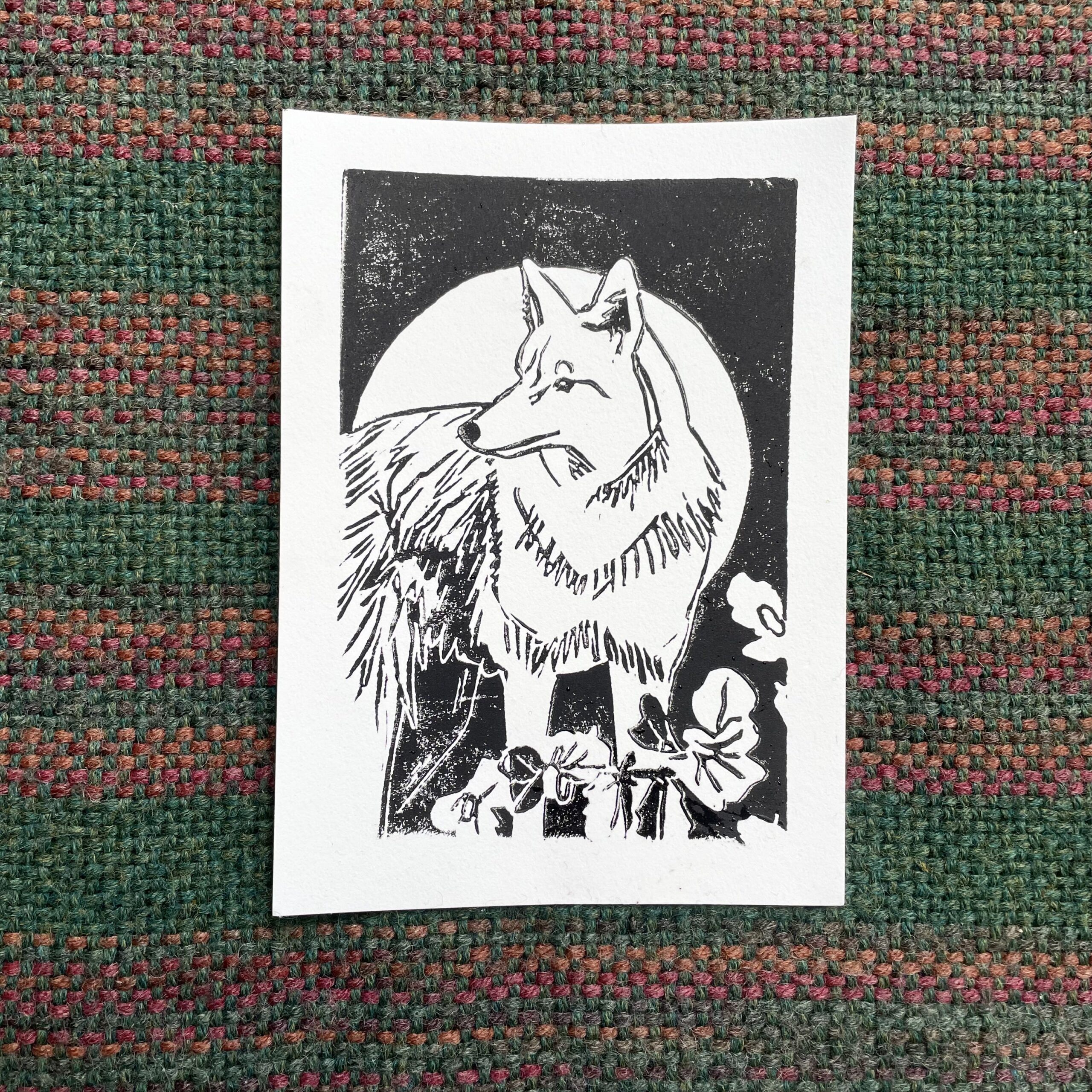 Coyote and Coyote Brush