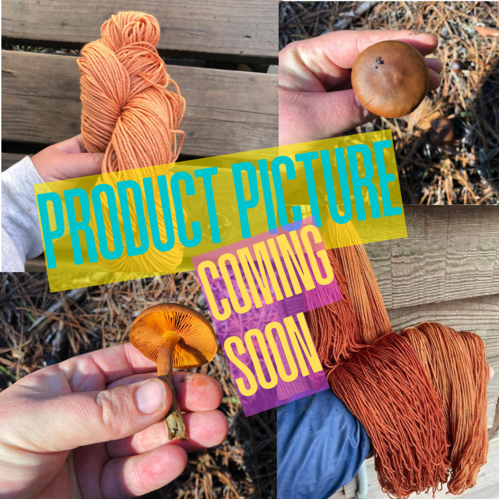 Mushroom Dye Kit: Cinnamon Corts - Human Becoming