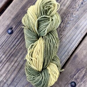 Mushroom Dyed Yarn: Summer Forest Ombre