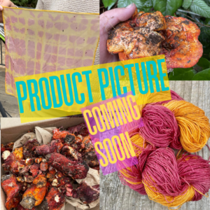 Mushroom Dye Kit: Lobster Mushroom
