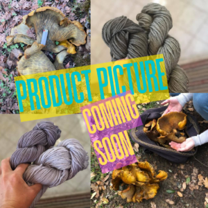 Mushroom Dye Kit: Omphalotus olivascens